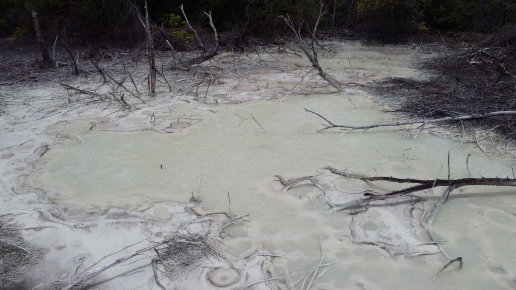 Semburan Sulfur di Ladang Padi.JPG