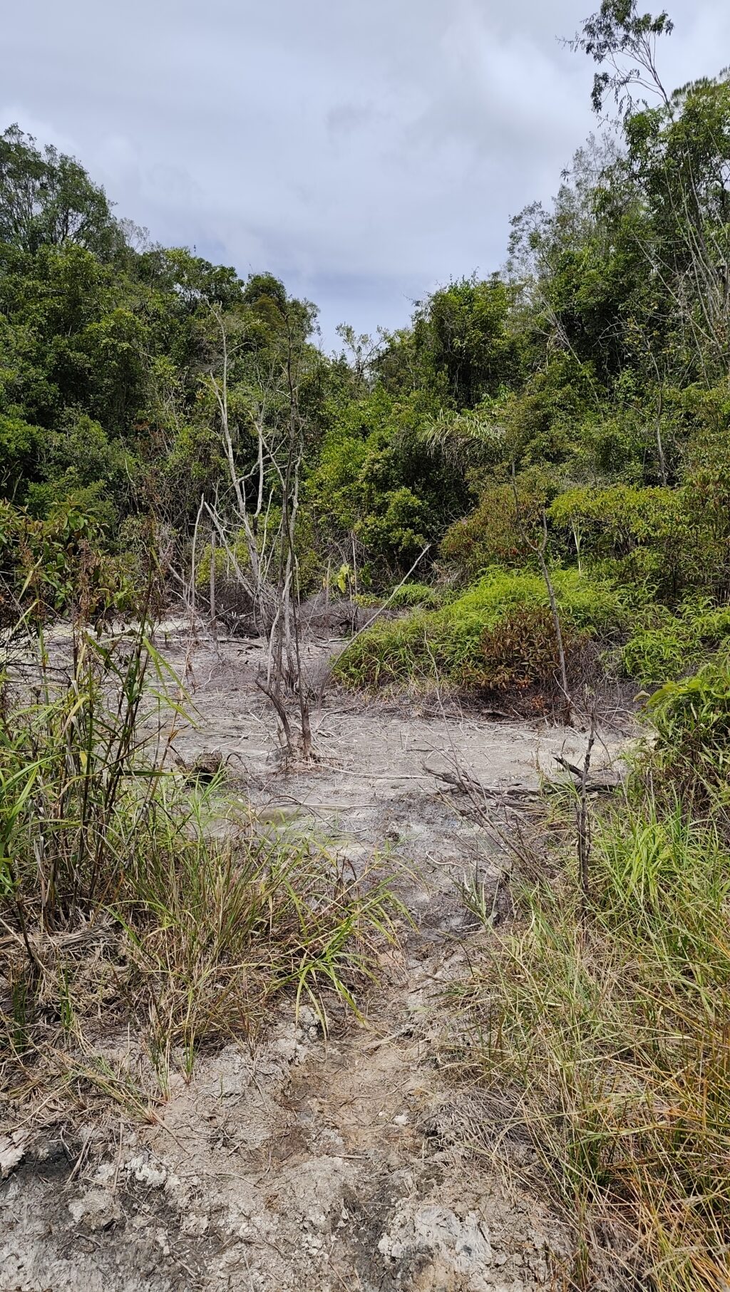 Lahan Yang di Tinggalkan Warga
