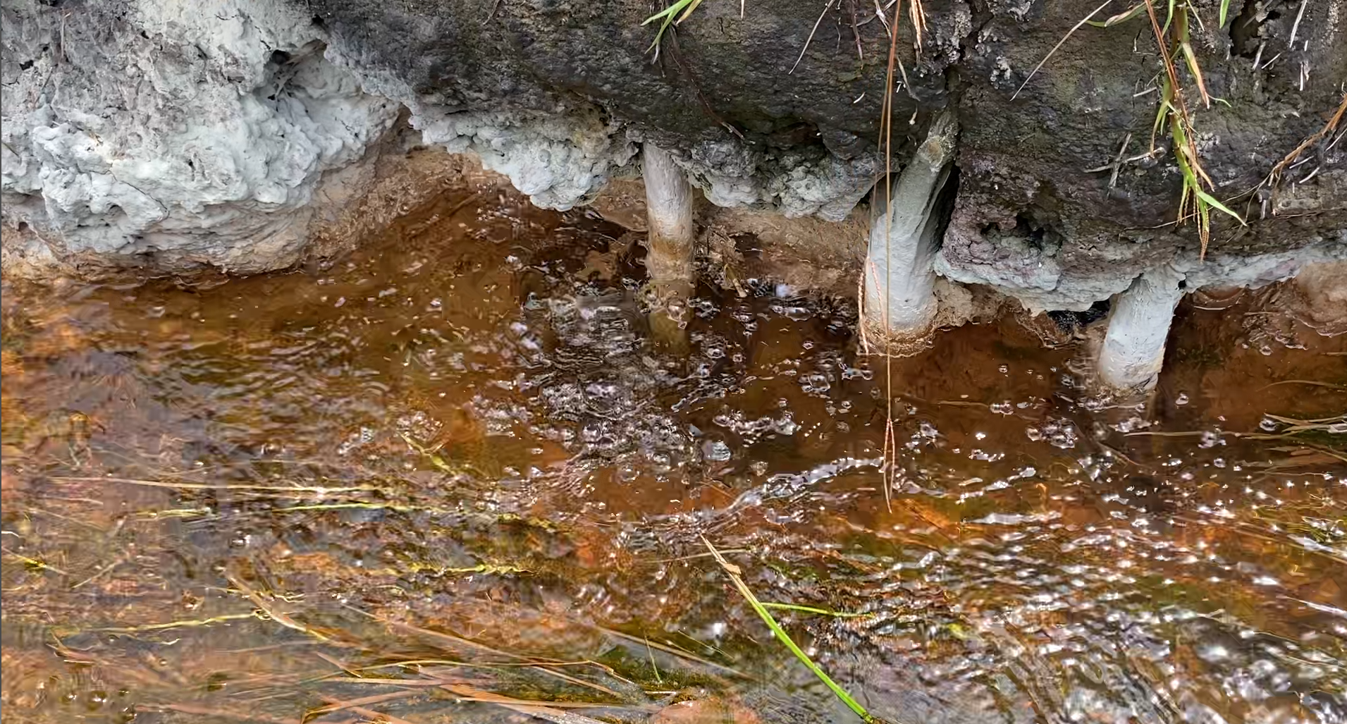 Dua Warga Banuaji Meninggal Diduga Terpapar Gas Beracun dari Aktivitas PT SOL